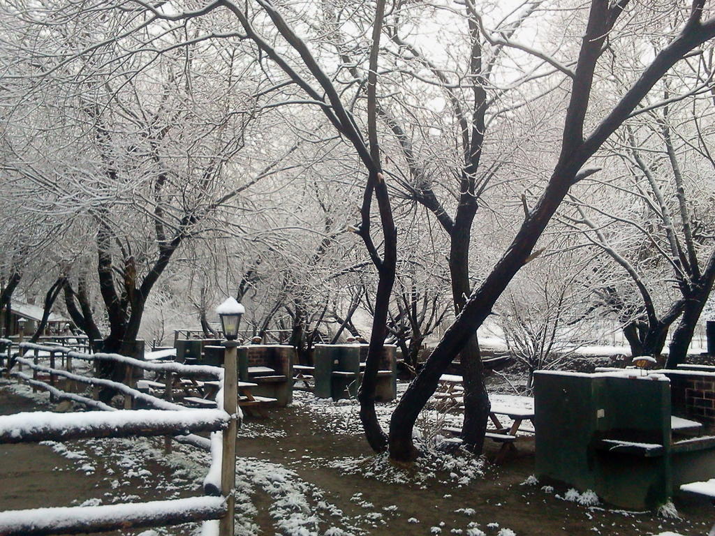 Camping Y Hostal El Ovejero El Calafate Esterno foto