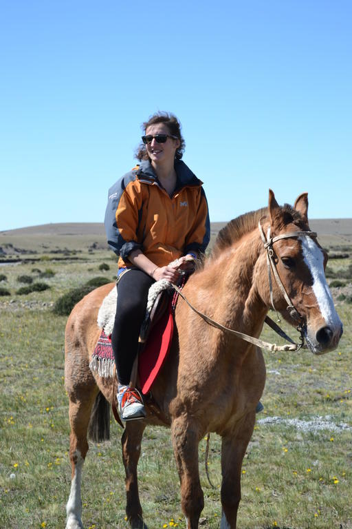 Camping Y Hostal El Ovejero El Calafate Esterno foto