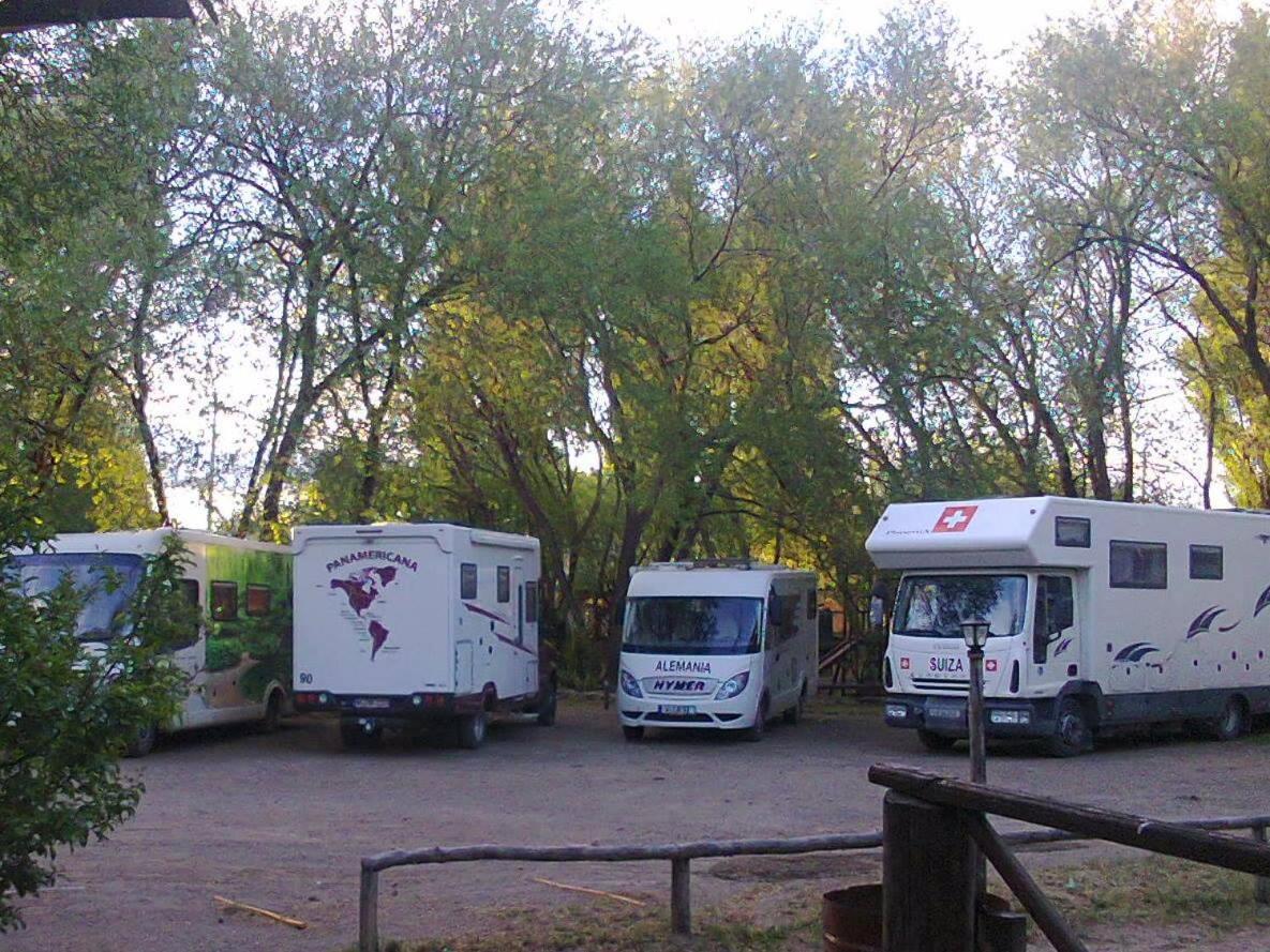 Camping Y Hostal El Ovejero El Calafate Esterno foto