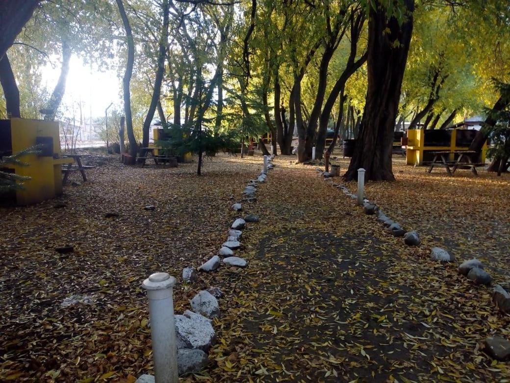 Camping Y Hostal El Ovejero El Calafate Esterno foto