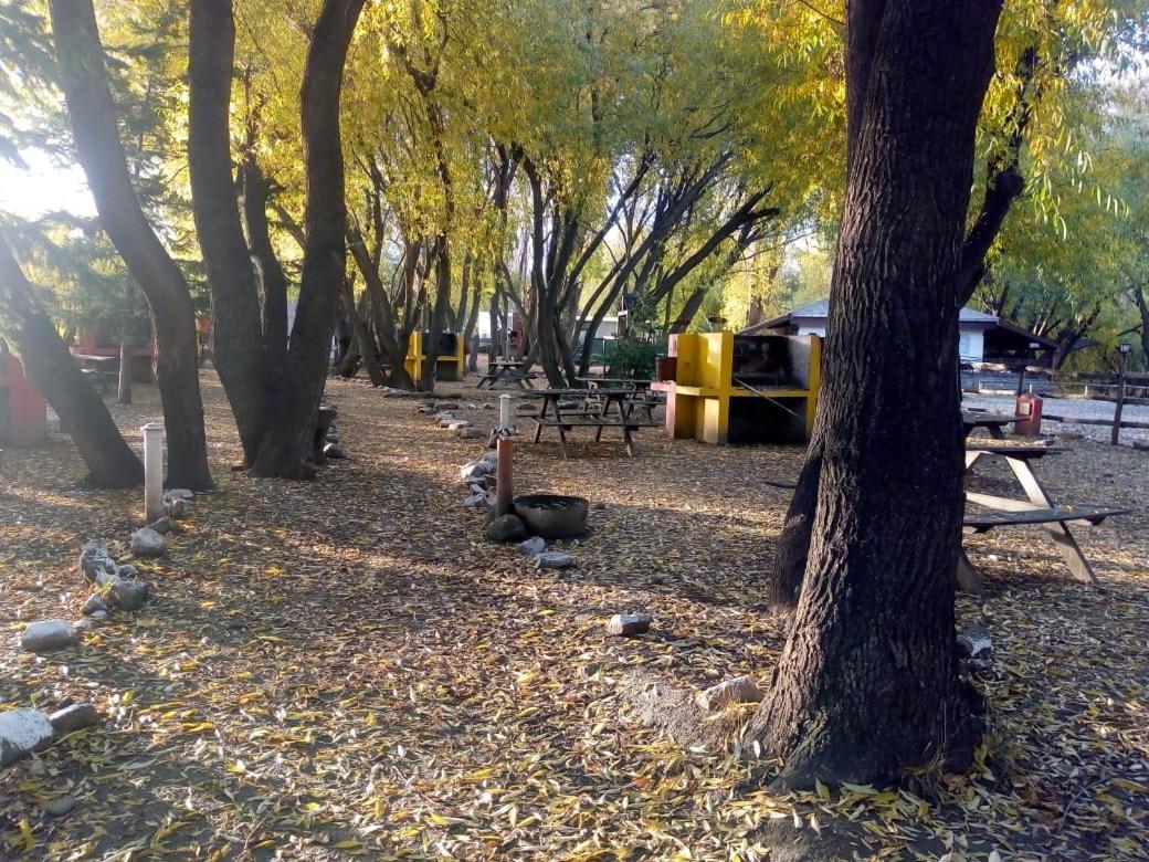 Camping Y Hostal El Ovejero El Calafate Esterno foto